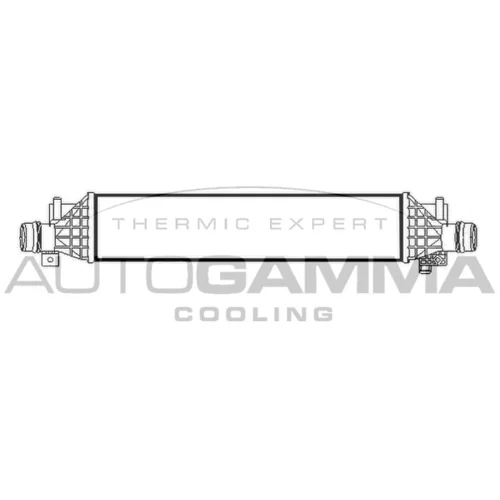 Chladič plniaceho vzduchu AUTOGAMMA 107102