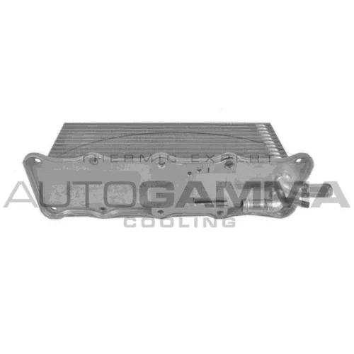 Chladič plniaceho vzduchu AUTOGAMMA 107772