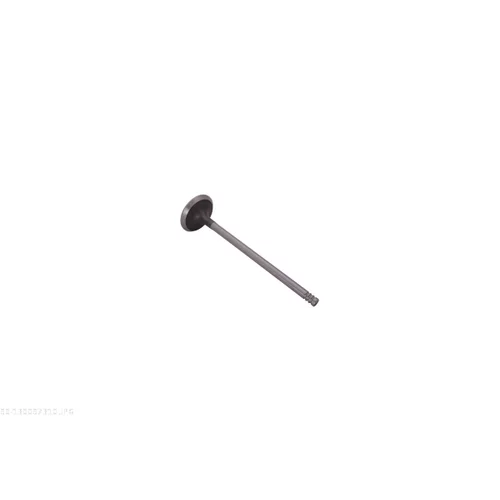 Výfukový ventil 130097310 /AUTOMEGA/ - obr. 1