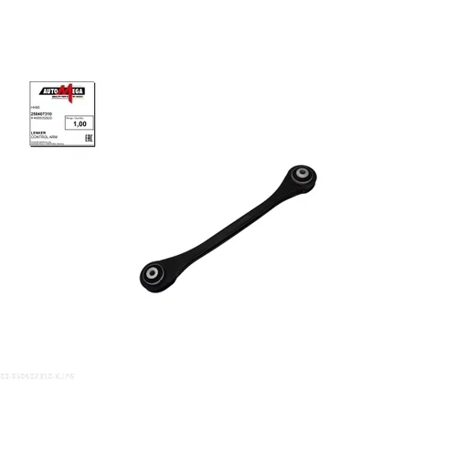 Rameno zavesenia kolies AUTOMEGA 250407310
