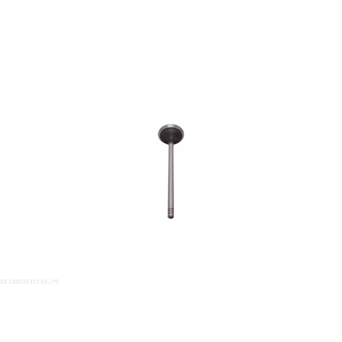 Výfukový ventil 130097310 /AUTOMEGA/ - obr. 3