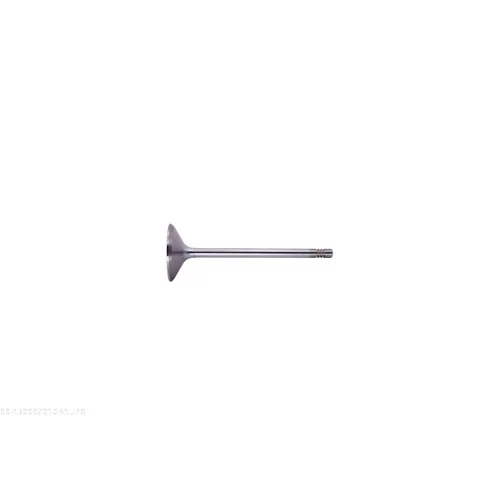 Nasávací ventil 130097010 /AUTOMEGA/ - obr. 2