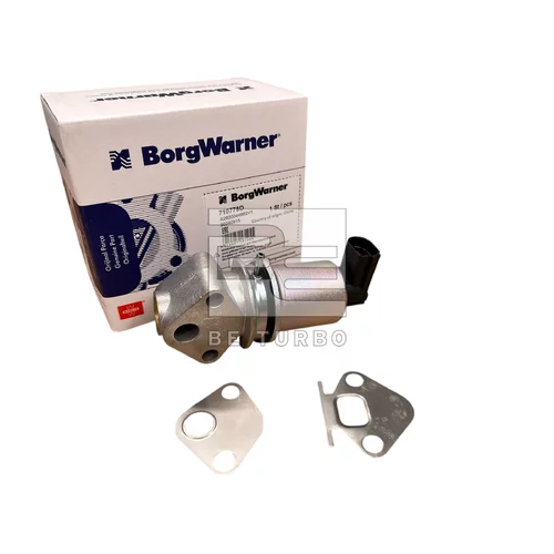 EGR ventil BE TURBO 310074
