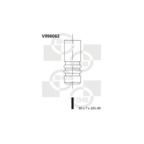 Výfukový ventil BGA V996062