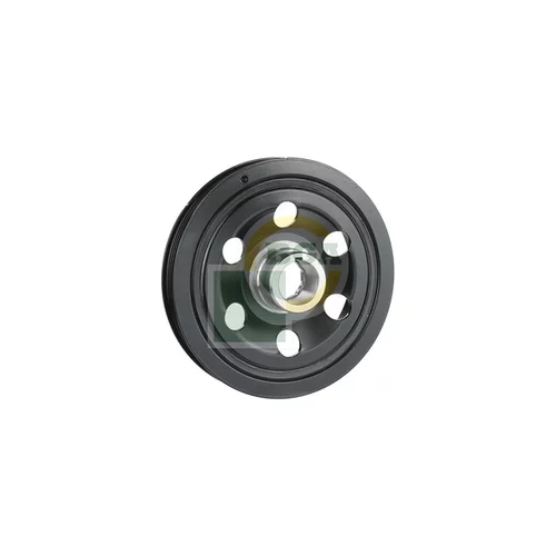 Remenica kľukového hriadeľa BGA DP5607