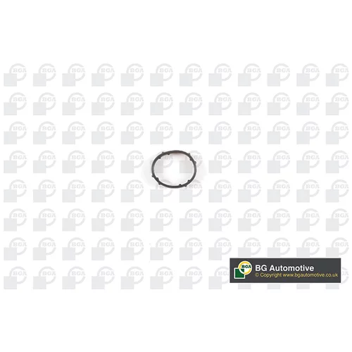 Tesnenie, EGR ventil BGA AX01055