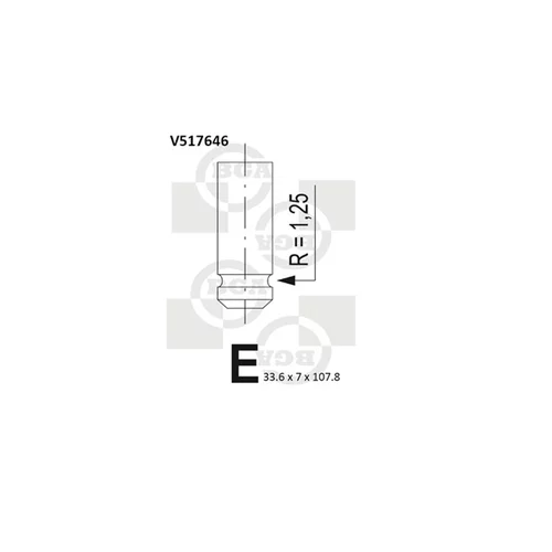 Výfukový ventil BGA V517646