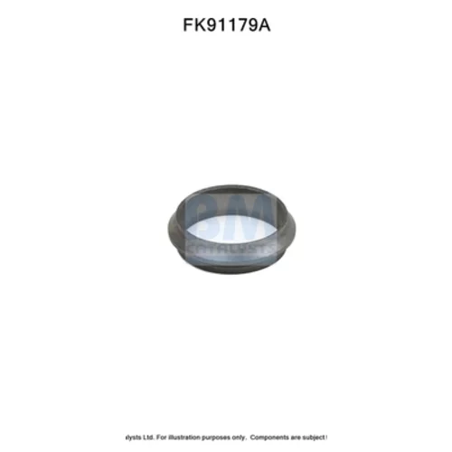 Katalyzátor - montážna sada FK91179 (BM CATALYSTS)