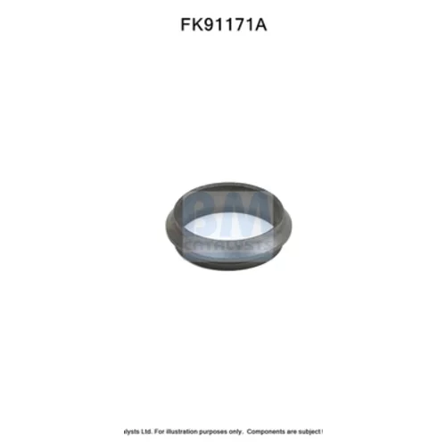 Katalyzátor - montážna sada FK91171 (BM CATALYSTS)