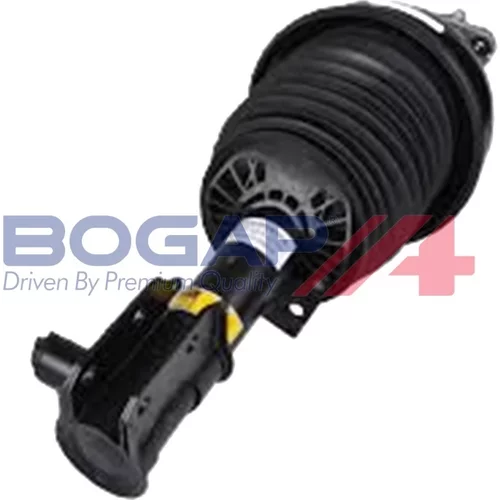 Vzduchový vak BOGAP C3426169