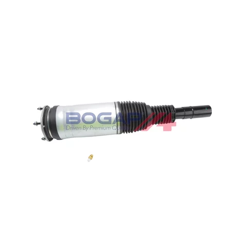 Vzduchový vak BOGAP E3426107