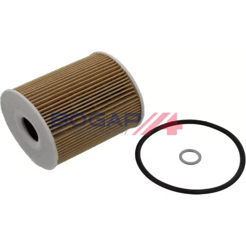 Olejový filter BOGAP B8113104