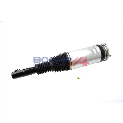 Vzduchový vak BOGAP E3426113