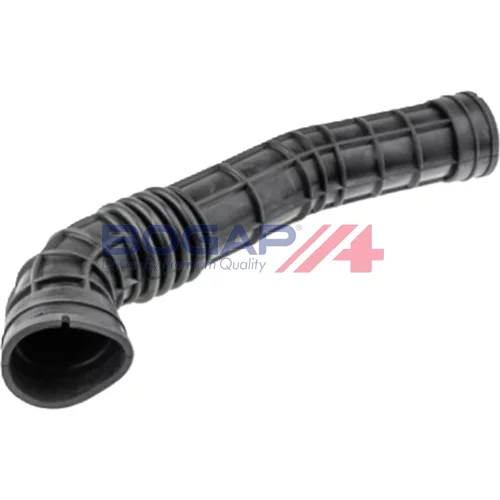Nasávacia hadica, Vzduchový filter BOGAP P1710104