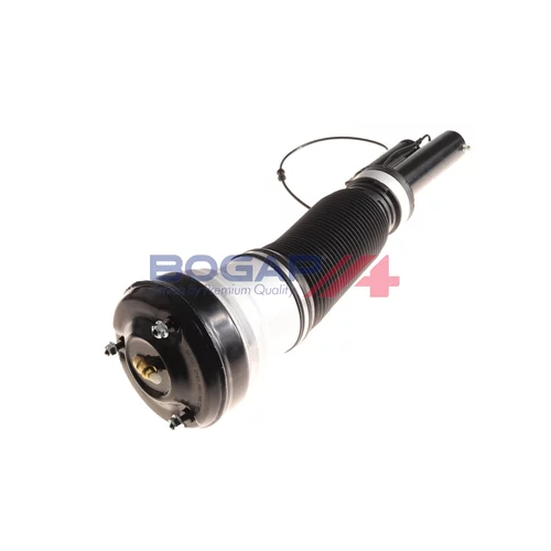 Vzduchový vak C3426123 /BOGAP/ - obr. 1