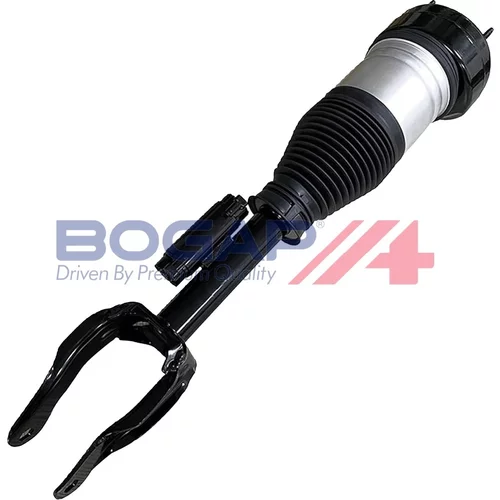 Vzduchový vak BOGAP C3426174