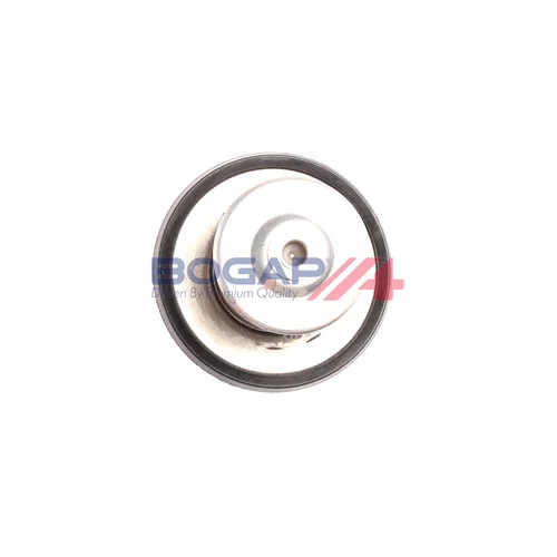 Termostat chladenia BOGAP V4245102