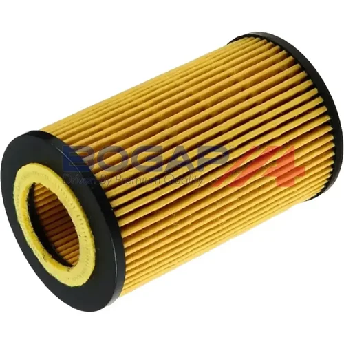 Olejový filter BOGAP R8113100