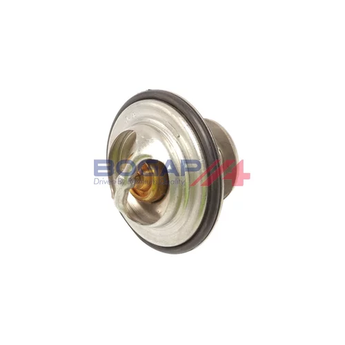 Termostat chladenia BOGAP A4245100