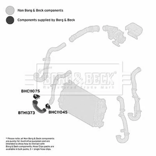 Hadica plniaceho vzduchu BTH1373 (BORG & BECK) - obr. 1