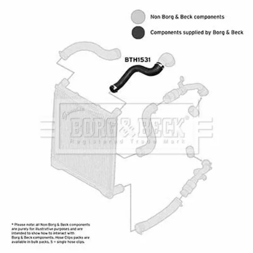 Hadica plniaceho vzduchu BTH1531 (BORG & BECK) - obr. 2