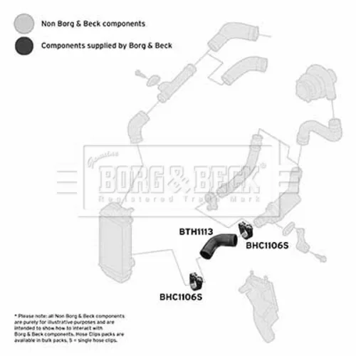 Hadica plniaceho vzduchu BTH1113 (BORG & BECK) - obr. 1