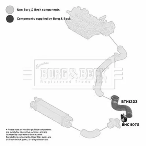 Hadica plniaceho vzduchu BTH1223 (BORG & BECK) - obr. 2