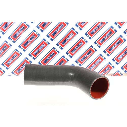 Hadica plniaceho vzduchu BORG & BECK BTH1776