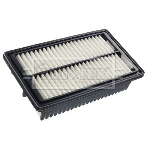Vzduchový filter BFA2541 (BORG & BECK)
