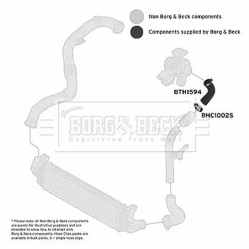 Hadica plniaceho vzduchu BTH1594 (BORG & BECK) - obr. 2
