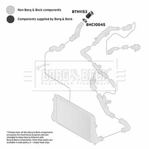 Hadica plniaceho vzduchu BTH1153 (BORG & BECK) - obr. 1