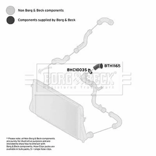 Hadica plniaceho vzduchu BTH1165 (BORG & BECK) - obr. 1