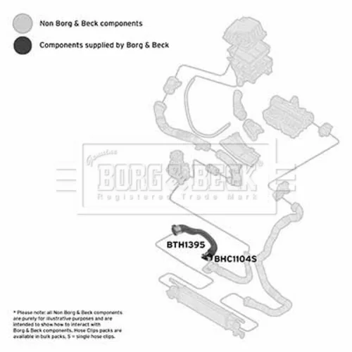 Hadica plniaceho vzduchu BTH1395 (BORG & BECK) - obr. 1