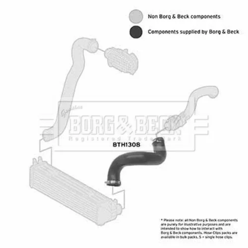 Hadica plniaceho vzduchu BTH1308 (BORG & BECK) - obr. 2