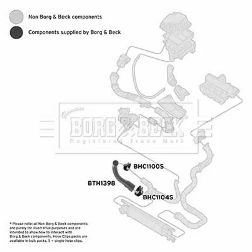 Hadica plniaceho vzduchu BTH1398 (BORG & BECK) - obr. 1