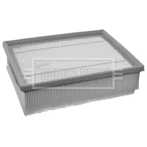Vzduchový filter BFA2163 (BORG & BECK) - obr. 1