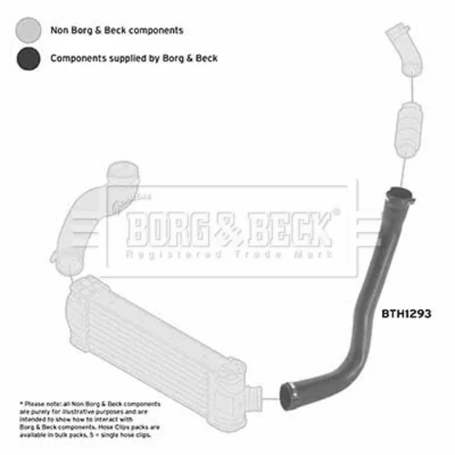Hadica plniaceho vzduchu BTH1293 (BORG & BECK) - obr. 1