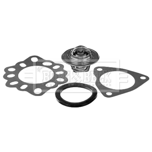 Termostat chladenia BBT363 (BORG & BECK) - obr. 1