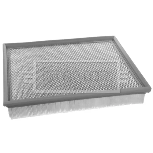 Vzduchový filter BFA2489 (BORG & BECK) - obr. 1