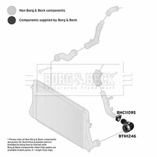 Hadica plniaceho vzduchu BTH1246 (BORG & BECK) - obr. 2