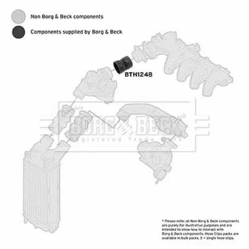 Hadica plniaceho vzduchu BTH1248 (BORG & BECK) - obr. 1