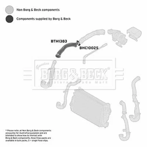 Hadica plniaceho vzduchu BTH1383 (BORG & BECK) - obr. 1