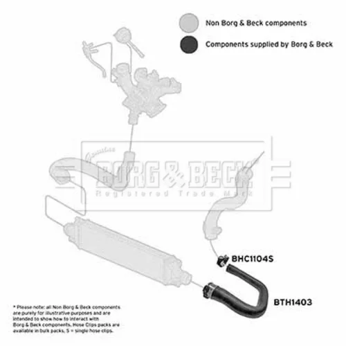Hadica plniaceho vzduchu BTH1403 (BORG & BECK) - obr. 1