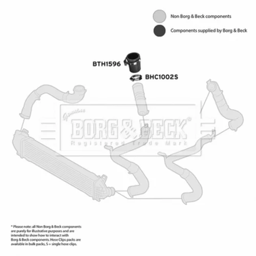 Hadica plniaceho vzduchu BTH1596 (BORG & BECK) - obr. 2