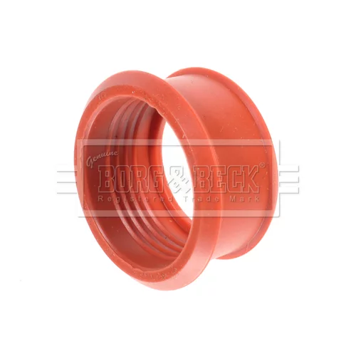 Nasávacia hadica, Vzduchový filter BTH1060 (BORG & BECK) - obr. 1