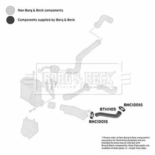 Hadica plniaceho vzduchu BTH1105 (BORG & BECK) - obr. 1