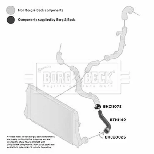 Hadica plniaceho vzduchu BTH1149 (BORG & BECK) - obr. 2