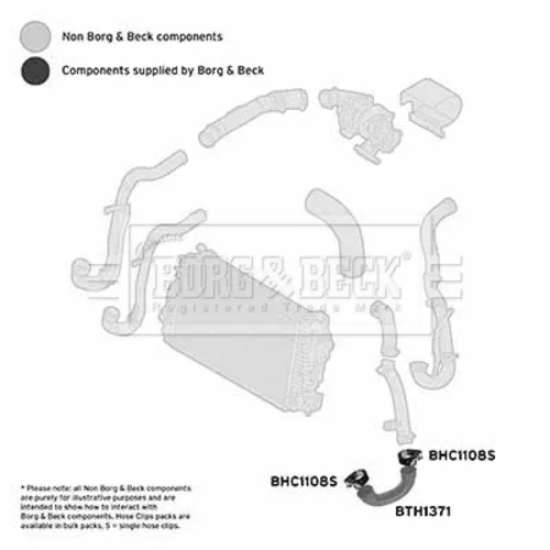 Hadica plniaceho vzduchu BTH1371 (BORG & BECK) - obr. 2