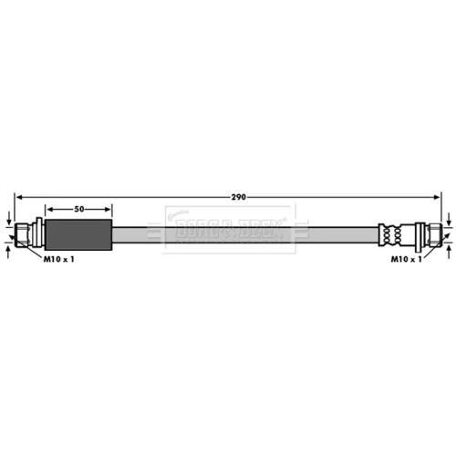 Brzdová hadica BBH6696 (BORG & BECK) - obr. 1