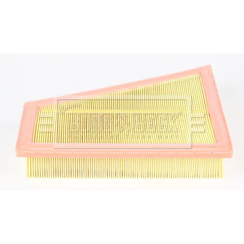 Vzduchový filter BFA2433HD (BORG & BECK) - obr. 1